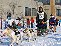 Iditarod 